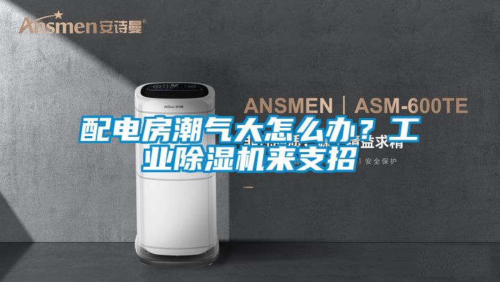 配電房潮氣大怎么辦？工業(yè)除濕機來支招
