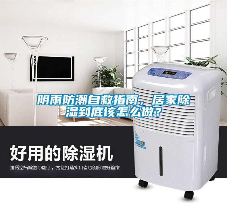 陰雨防潮自救指南，居家除濕到底該怎么做？