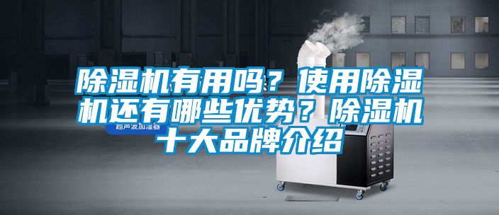 除濕機(jī)有用嗎？使用除濕機(jī)還有哪些優(yōu)勢(shì)？除濕機(jī)十大品牌介紹