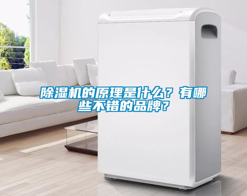 除濕機的原理是什么？有哪些不錯的品牌？