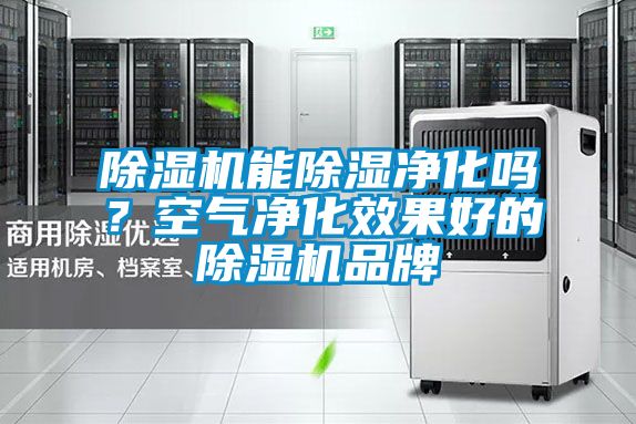 除濕機(jī)能除濕凈化嗎？空氣凈化效果好的除濕機(jī)品牌