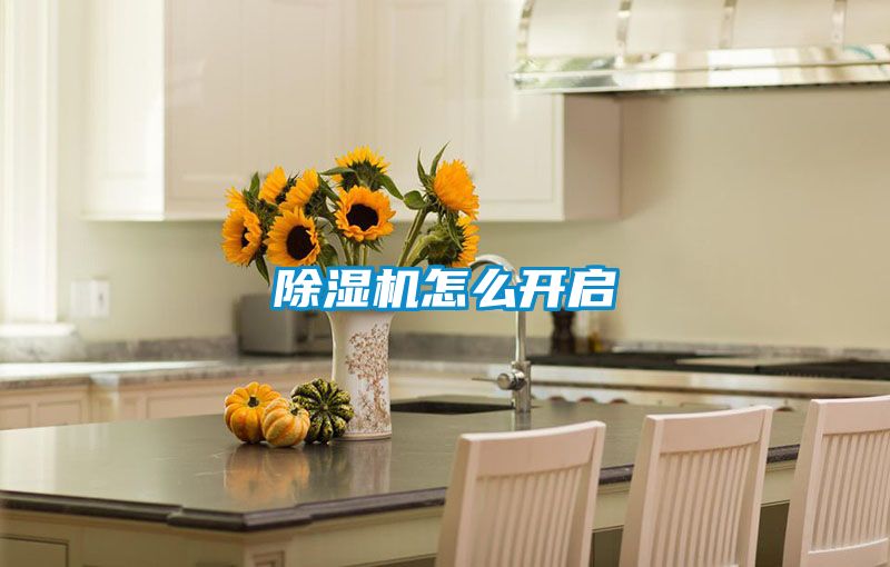除濕機(jī)怎么開啟