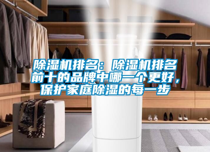 除濕機(jī)排名：除濕機(jī)排名前十的品牌中哪一個(gè)更好，保護(hù)家庭除濕的每一步