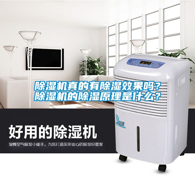 除濕機(jī)真的有除濕效果嗎？除濕機(jī)的除濕原理是什么？