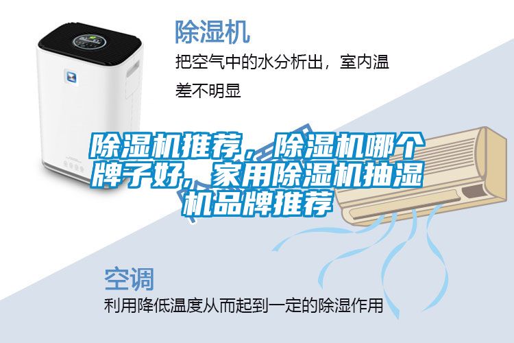 除濕機(jī)推薦，除濕機(jī)哪個(gè)牌子好, 家用除濕機(jī)抽濕機(jī)品牌推薦