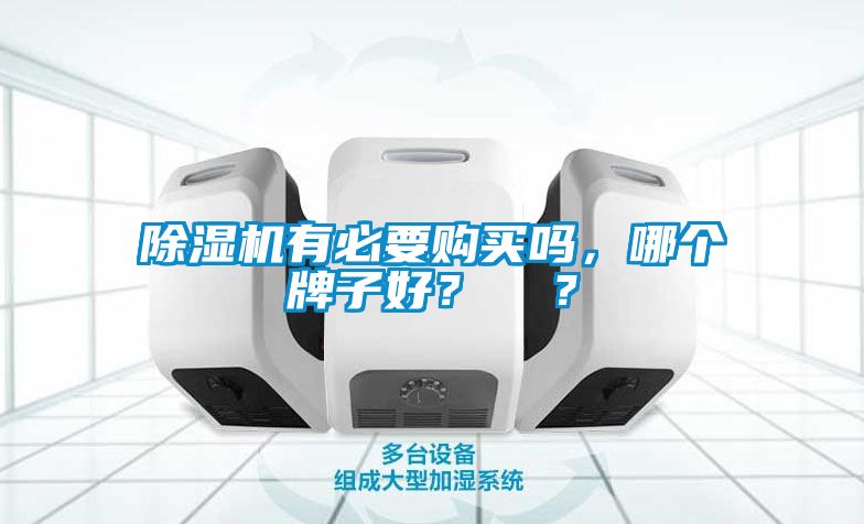 除濕機有必要購買嗎，哪個牌子好？  ？