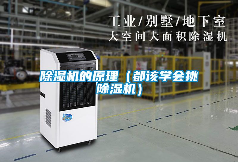 除濕機的原理（都該學(xué)會挑除濕機）