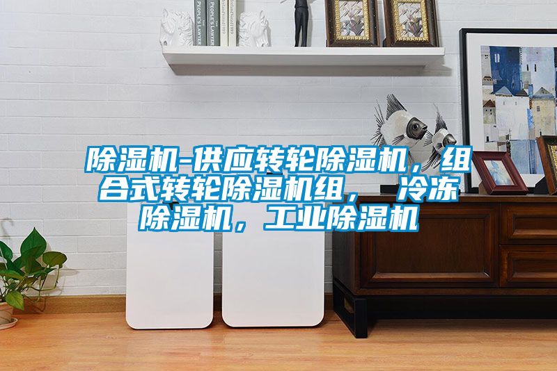 除濕機-供應轉(zhuǎn)輪除濕機，組合式轉(zhuǎn)輪除濕機組， 冷凍除濕機，工業(yè)除濕機