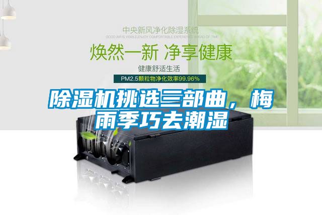 除濕機(jī)挑選三部曲，梅雨季巧去潮濕
