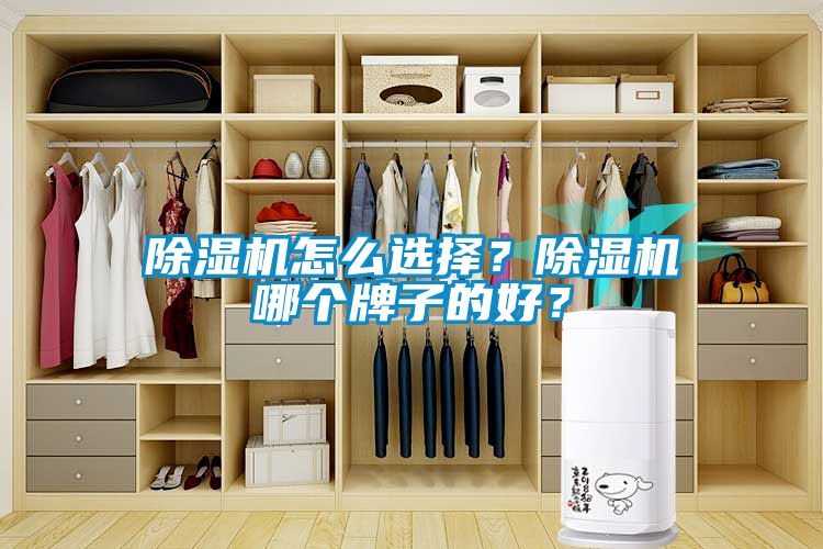 除濕機(jī)怎么選擇？除濕機(jī)哪個(gè)牌子的好？
