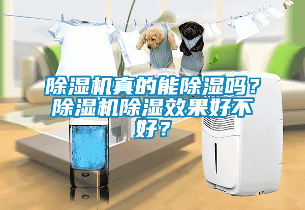 除濕機真的能除濕嗎？除濕機除濕效果好不好？
