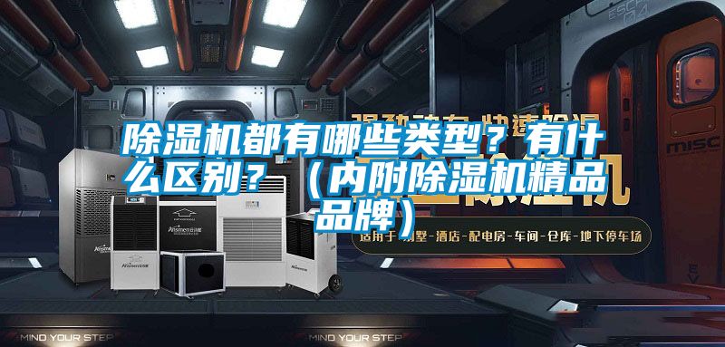 除濕機(jī)都有哪些類型？有什么區(qū)別？（內(nèi)附除濕機(jī)精品品牌）