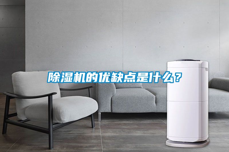 除濕機(jī)的優(yōu)缺點(diǎn)是什么？