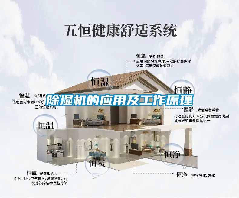 除濕機(jī)的應(yīng)用及工作原理