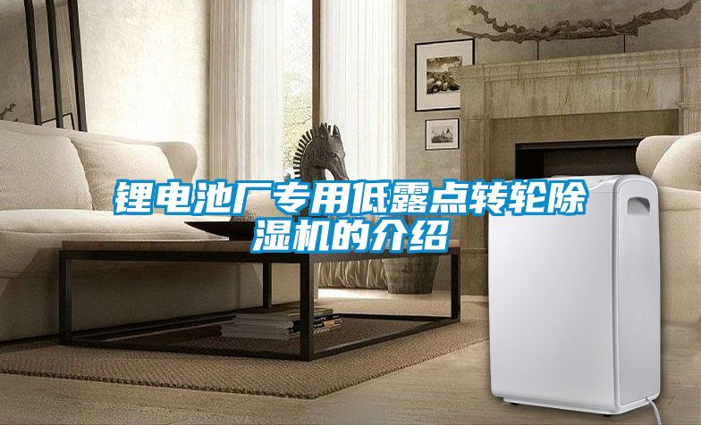 鋰電池廠專(zhuān)用低露點(diǎn)轉(zhuǎn)輪除濕機(jī)的介紹