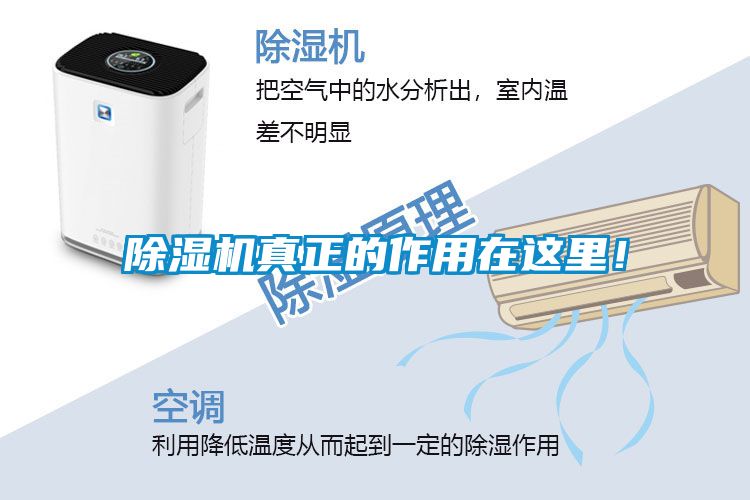 除濕機(jī)真正的作用在這里！