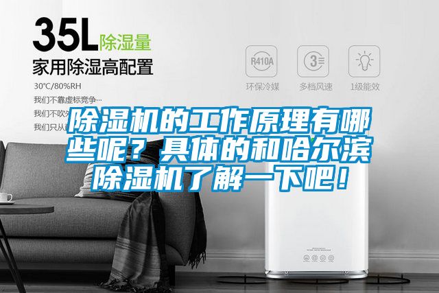 除濕機(jī)的工作原理有哪些呢？具體的和哈爾濱除濕機(jī)了解一下吧！