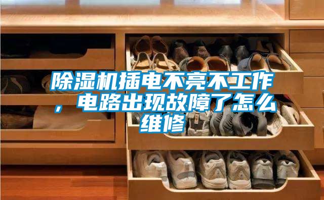 除濕機(jī)插電不亮不工作，電路出現(xiàn)故障了怎么維修