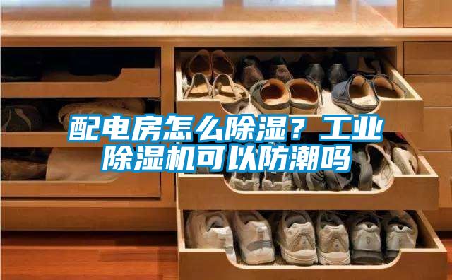 配電房怎么除濕？工業(yè)除濕機可以防潮嗎
