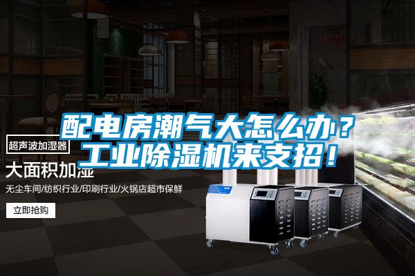 配電房潮氣大怎么辦？工業(yè)除濕機(jī)來(lái)支招！