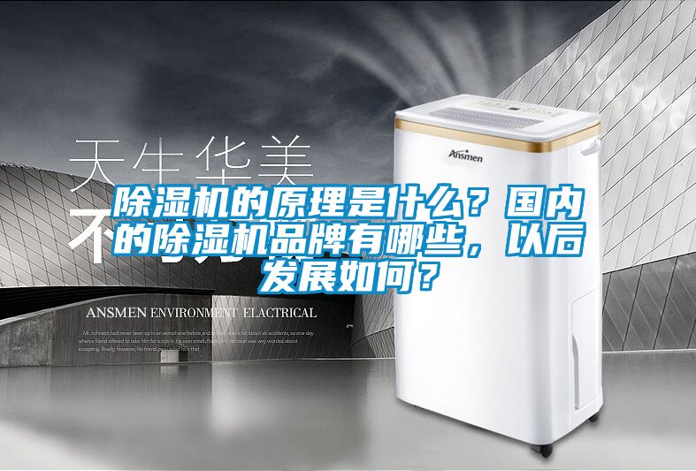 除濕機(jī)的原理是什么？國(guó)內(nèi)的除濕機(jī)品牌有哪些，以后發(fā)展如何？