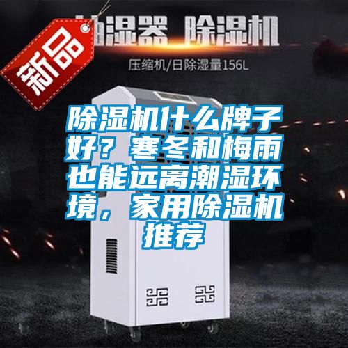 除濕機什么牌子好？寒冬和梅雨也能遠離潮濕環(huán)境，家用除濕機推薦