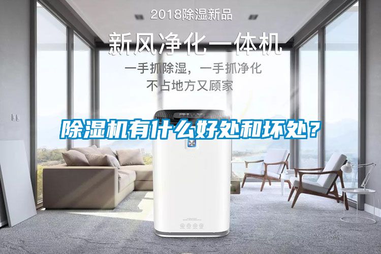 除濕機(jī)有什么好處和壞處？