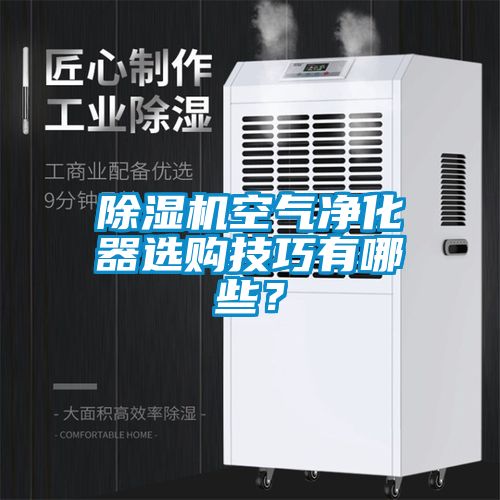 除濕機(jī)空氣凈化器選購技巧有哪些？