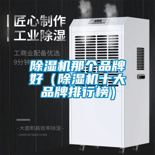 除濕機那個品牌好（除濕機十大品牌排行榜）