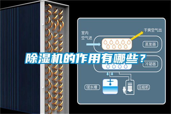 除濕機的作用有哪些？