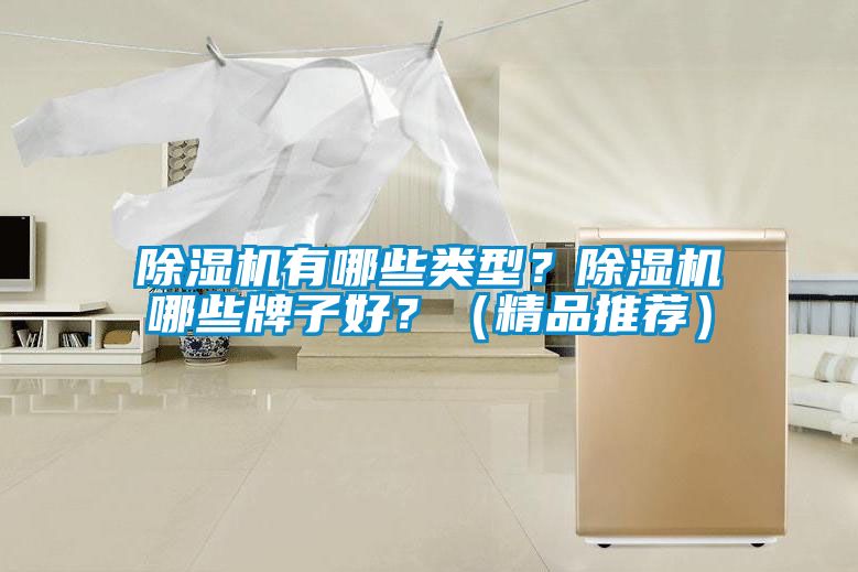 除濕機有哪些類型？除濕機哪些牌子好？（精品推薦）