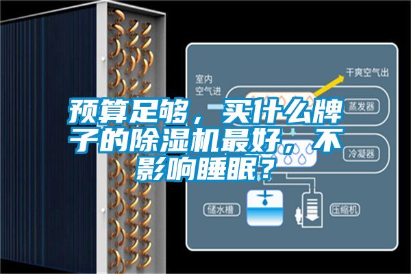 預(yù)算足夠，買(mǎi)什么牌子的除濕機(jī)最好，不影響睡眠？