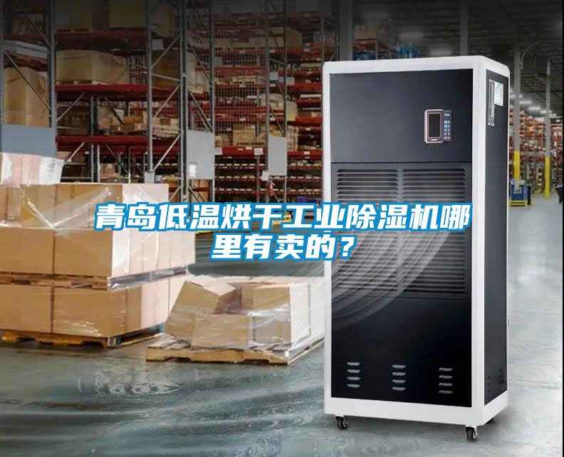 青島低溫烘干工業(yè)除濕機(jī)哪里有賣的？