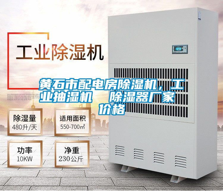 黃石市配電房除濕機，工業(yè)抽濕機  除濕器廠家 價格