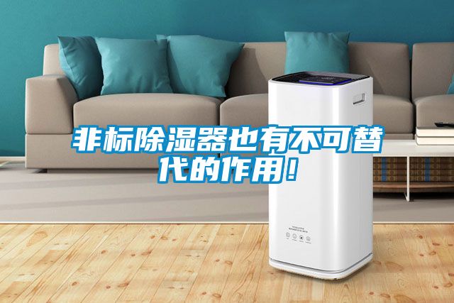 非標(biāo)除濕器也有不可替代的作用！