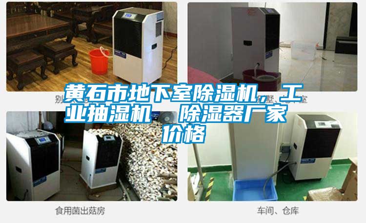 黃石市地下室除濕機(jī)，工業(yè)抽濕機(jī)  除濕器廠家 價(jià)格