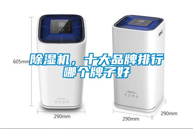 除濕機(jī)，十大品牌排行哪個(gè)牌子好