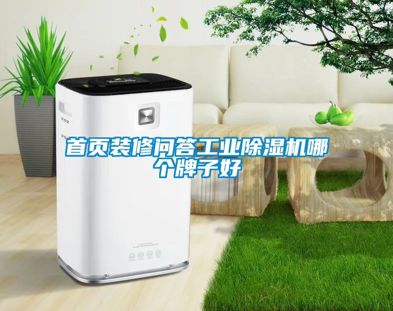 首頁(yè)裝修問答工業(yè)除濕機(jī)哪個(gè)牌子好