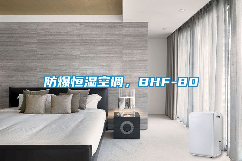 防爆恒濕空調(diào)，BHF-80