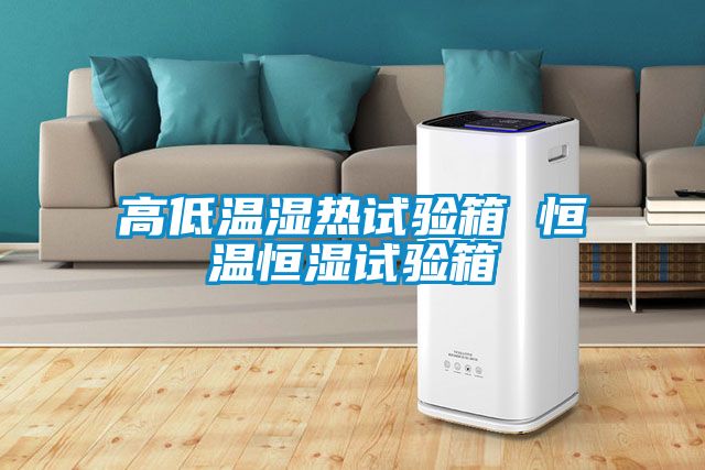 高低溫濕熱試驗箱 恒溫恒濕試驗箱