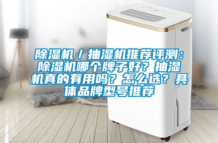 除濕機(jī)／抽濕機(jī)推薦評測：除濕機(jī)哪個牌子好？抽濕機(jī)真的有用嗎？怎么選？具體品牌型號推薦