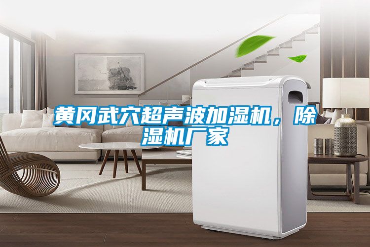 黃岡武穴超聲波加濕機(jī)，除濕機(jī)廠家