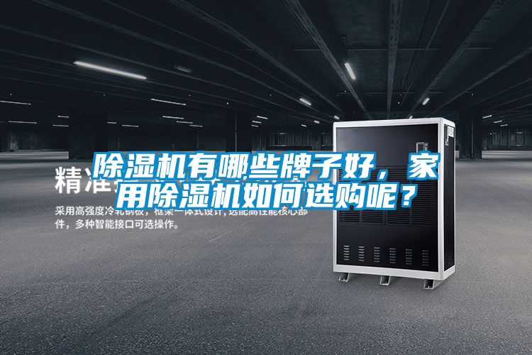 除濕機(jī)有哪些牌子好，家用除濕機(jī)如何選購(gòu)呢？