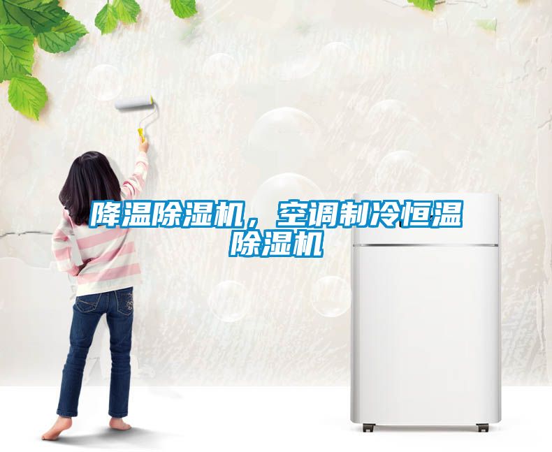 降溫除濕機(jī)，空調(diào)制冷恒溫除濕機(jī)