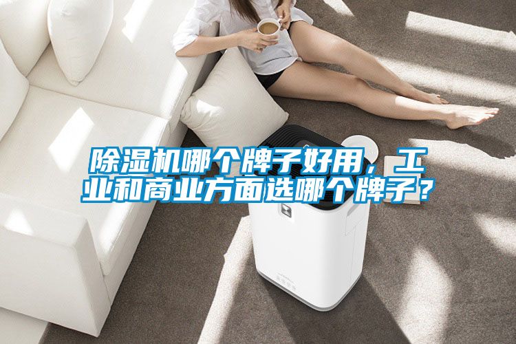 除濕機哪個牌子好用，工業(yè)和商業(yè)方面選哪個牌子？