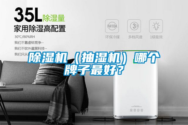 除濕機(jī)（抽濕機(jī)）哪個(gè)牌子最好？