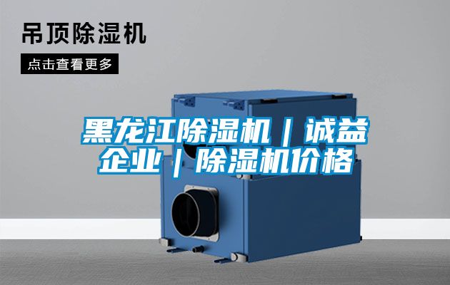 黑龍江除濕機(jī)｜誠益企業(yè)｜除濕機(jī)價(jià)格