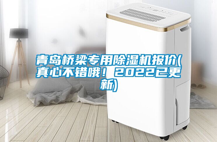 青島橋梁專用除濕機(jī)報(bào)價(jià)(真心不錯(cuò)哦！2022已更新)