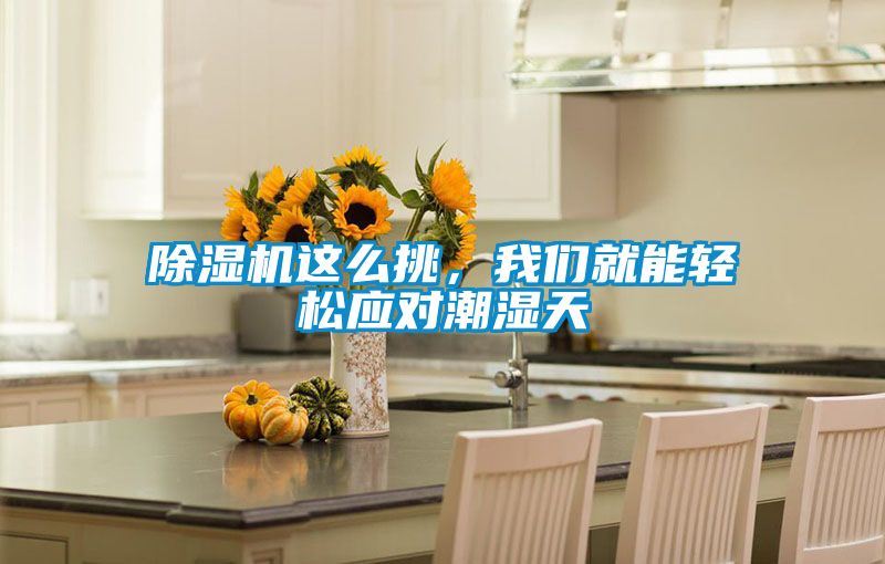 除濕機(jī)這么挑，我們就能輕松應(yīng)對(duì)潮濕天