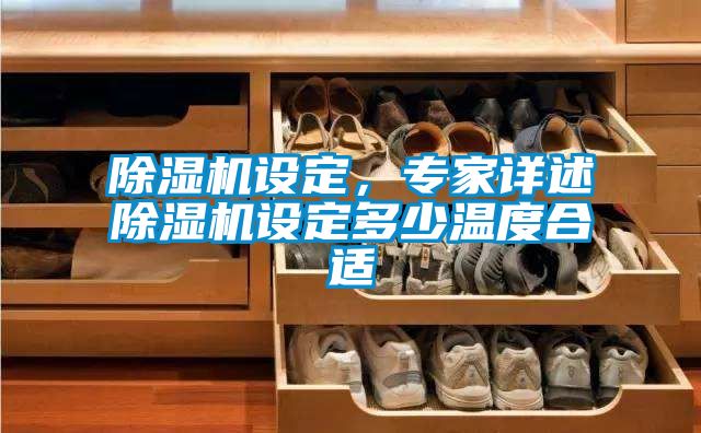 除濕機(jī)設(shè)定，專家詳述除濕機(jī)設(shè)定多少溫度合適